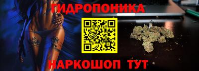 меф Краснознаменск