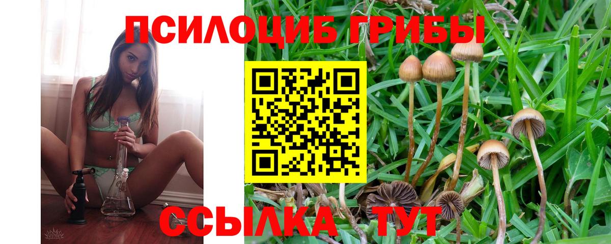 Маркс  сколько стоит  Вход с VPN  Псилоцибиновые грибы MAGIC MUSHROOMS 