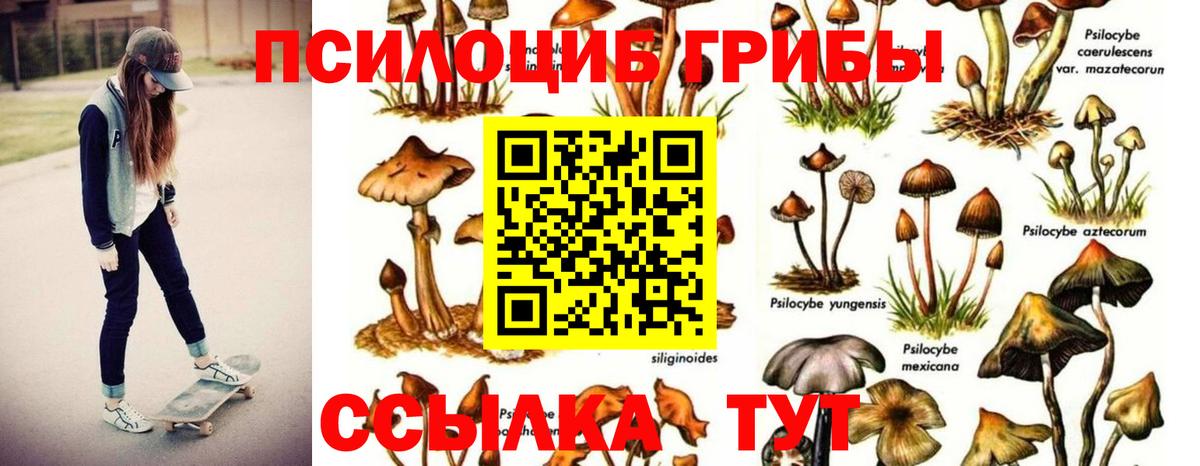 Псилоцибиновые грибы Psilocybe Маркс